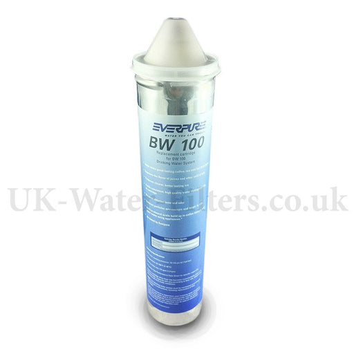 Everpure BW100 filter cartridge